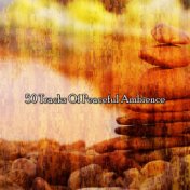 50 Tracks Of Peaceful Ambience