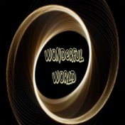 Wonderful World (Electronic Version)