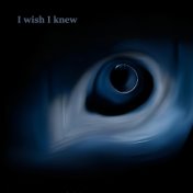 I Wish I Knew