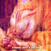 Storms Into A Dream