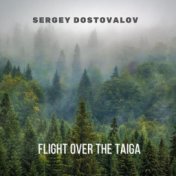 Flight over the Taiga