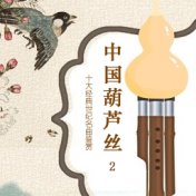 中国葫芦丝十大经典世纪名曲鉴赏 2