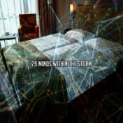 29 Minds Within The Storm