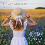 В поле васильки (Remix)