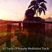 43 Tracks Of Regular Meditation Tracks