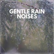Gentle Rain Noises