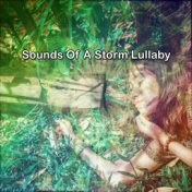 Sounds Of A Storm Lullaby