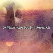 70 White Noise Study & Research