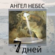 7 дней