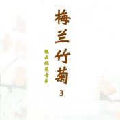 梅兰竹菊（极品休闲音乐）3