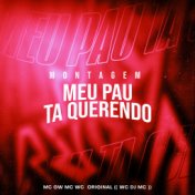 Montagem - Meu Pau Ta Querendo