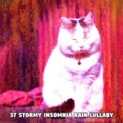 37 Stormy Insomnia Rain Lullaby