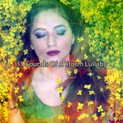 31 Sounds Of A Storm Lullaby