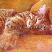 34 Relaxing Soundscape Lullaby