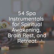54 Spa Instrumentals for Spiritual Awakening, Brain Rest, and Retreat