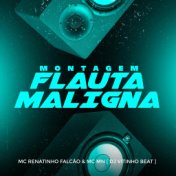 Montagem Flauta Maligna