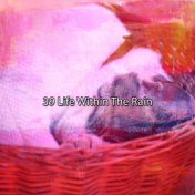 39 Life Within The Rain