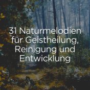 31 naturmelodien für geistheilung, reinigung und entwicklung