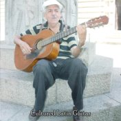 Cultured Latin Guitar