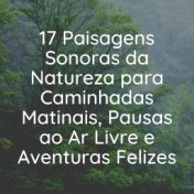 17 Paisagens Sonoras da Natureza para Caminhadas Matinais, Pausas ao Ar Livre e Aventuras Felizes