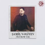 Şamil Vəliyev