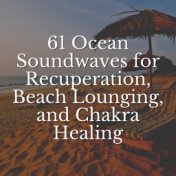 61 Ocean Soundwaves for Recuperation, Beach Lounging, and Chakra Healing