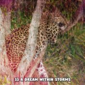 33 A Dream Within Storms