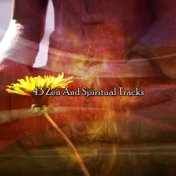 43 Zen And Spiritual Tracks