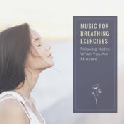 Music for Breathing Exercises: Relaxing Notes When You Are Stressed before a Meeting, an Exam or an Appointment
