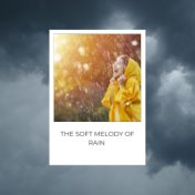 The Soft Melody of Rain