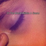 31 The World Within A Storm