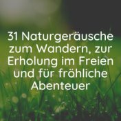 31 Naturgeräusche zum Wandern, zur Erholung im Freien und für fröhliche Abenteuer