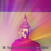 30 Tracks Of Peaceful Ambience