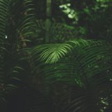 Ambient Nature Infused Melodies | Instant Relaxation