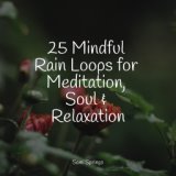 25 Mindful Rain Loops for Meditation, Soul & Relaxation