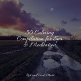 50 Calming Compilation for Spa & Meditation