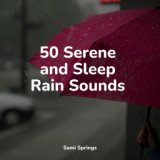50 Serene and Sleep Rain Sounds