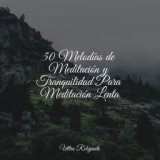 50 Melodías de Meditación y Tranquilidad Para Meditación Lenta