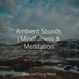 Ambient Sounds | Mindfulness & Meditation