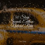 50 Sleep Sounds Edition: Natural Rain