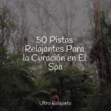 50 Pistas Relajantes Para la Curación en El Spa