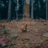 Sonidos Calmantes | ATMósfera de Sueño Profundo y Chill