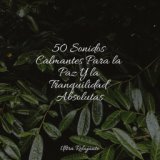 50 Melodías Calmantes Para Dormir