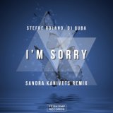 I'm Sorry (Sandra Kanivets Remix)