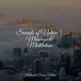 Sounds of Nature | Massage & Meditation