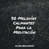 50 Melodías Calmantes Para la Meditación