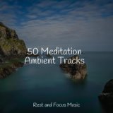 50 Meditation Ambient Tracks