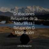 Grabaciones Relajantes de la Naturaleza | Relajación O Meditación
