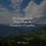 50 Compilación Pura Para la Curación Completa