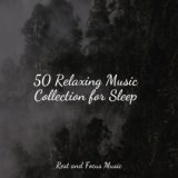 50 Relaxing Music Collection for Sleep
